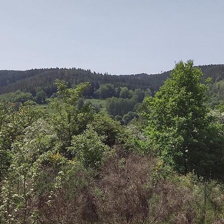 Sessles Waldhaeusschen Dietzhausen سوهل المظهر الخارجي الصورة