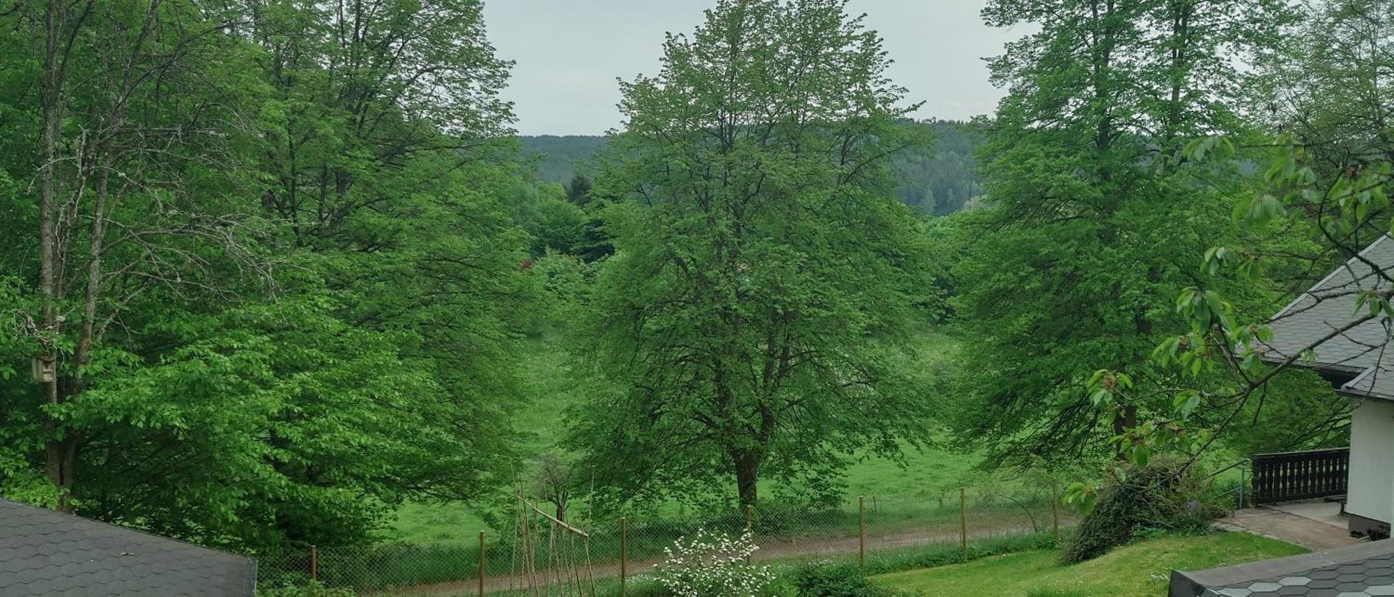 Sessles Waldhaeusschen Dietzhausen سوهل المظهر الخارجي الصورة