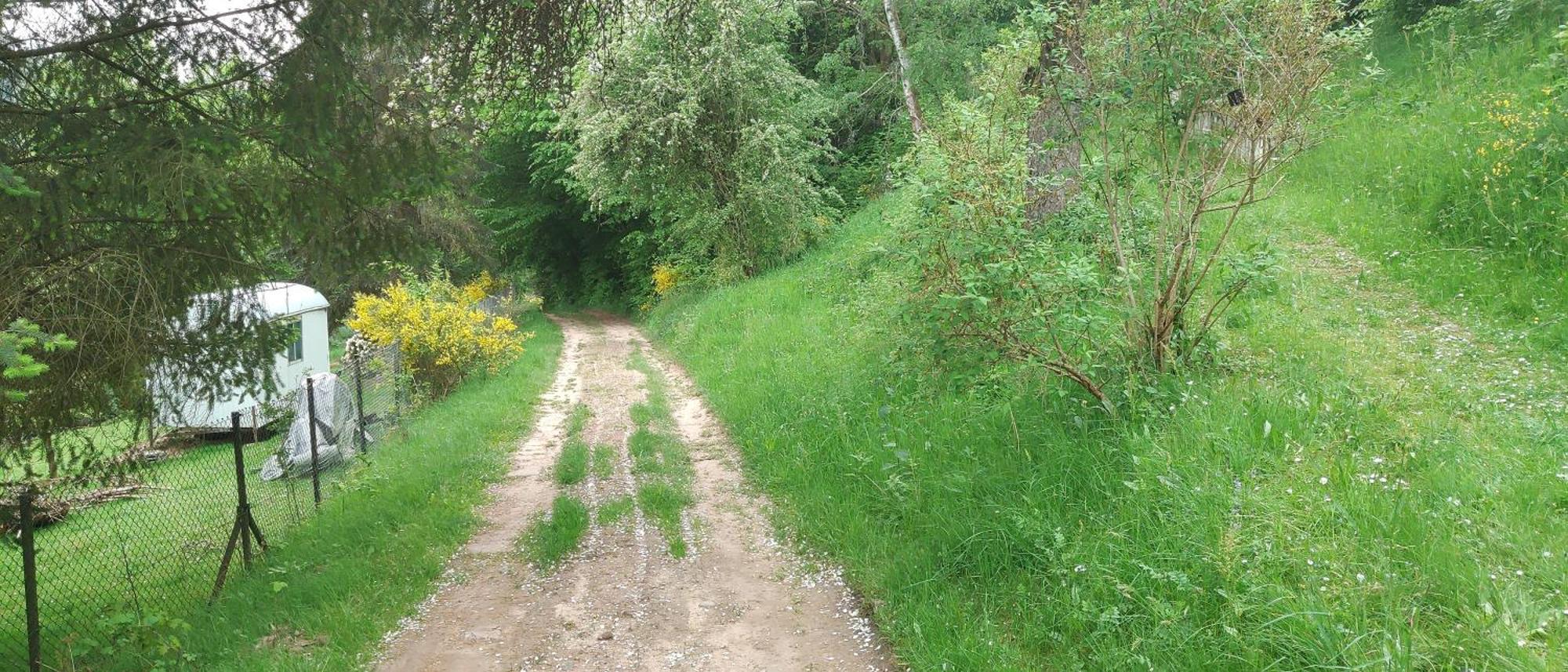 Sessles Waldhaeusschen Dietzhausen سوهل المظهر الخارجي الصورة